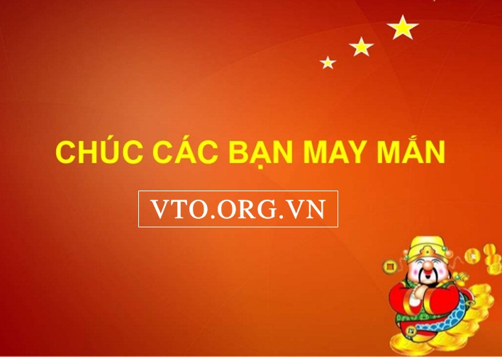 vto-org-vn335.jpg